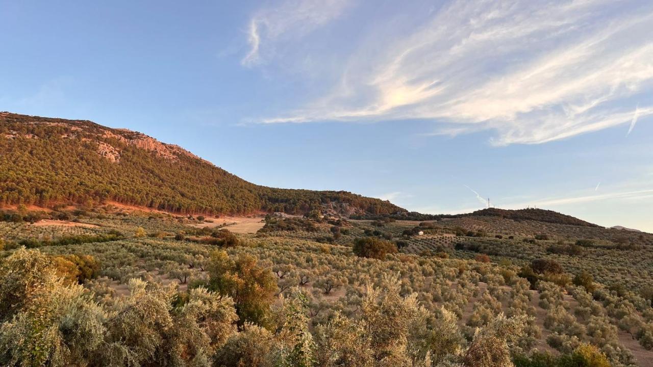 Cortijo Borreguero Villa Villanueva del Trabuco Eksteriør billede